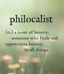 Word For Today Philocalist N A Lover Of Beauty Someone Who Finds And Appreciates Beauty In All Things Unusual Words Cool Words Weird Words
