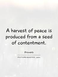 Quotes About Contentment Peace 47 Quotes Contentment Quotes Quotes Word Of The Day