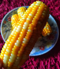 Saya hanya seminggu tidak ada masa untuk mengambil noxxa ni kat ann rumah. Dapur Impian Sis Dah Cuba Ikut Tips Rebus Jagung Yang Facebook
