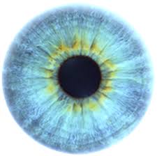 Buy 10 get 50 off. Download Eye Blue Aesthetic Stickers Transparent Freetoedit Blue Eye Iris Png Png Image With No Background Pngkey Com