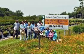 Check spelling or type a new query. Green Isle Gardens Green Isle Gardens Florida Native Plants For Sale