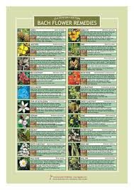 Bach Flower Remedy Chart Related Keywords Suggestions