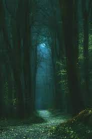 Free for commercial use ✓ no attribution required . Fairytales Fantasy Landscape Dark Green Aesthetic Mystical Forest