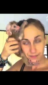 Photos of the Kaka Family and Monkey Adoption