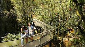 Taman rusa tanjungsari bogor taman rusa tanjungsari lebih dikenal dengan nama taman rusa girijaya atau taman rusa. Jadwal Buka Taman Rusa Jadwal Buka Taman Rusa Wisata Taman Film Bandung Taman Rusa Dan Kancil Terletak Berhampiran Dengan Taman Tasik Perdana Merupakan Taman Seluas 1 5 Hektar Yang