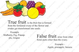 Diagram Diagram Of True Fruit Full Version Hd Quality True Fruit Searchenginetechnique Mami Wata Fr
