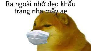 Meme Cheems - Hình Tượng Chú Chó Shiba Được Cả Thế Giới Săn Lùng