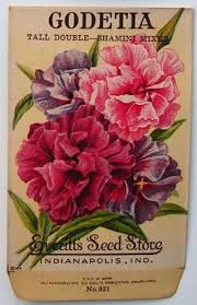 Flowers Vintage Poster Seed Catalogs 37 Ideas Vintage Seed Packets Flower Seeds Packets Vintage Flowers
