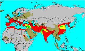 A Biblical Interpretation Of World History Map Gallery History Subject History Map