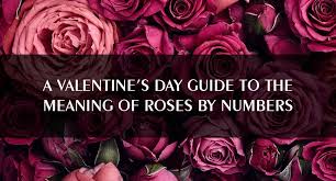 Courage, transformation, daring, resourcefulness, diversity. Valentine S Day Guide To The Meaning Of Roses By Numbers Tall Ship Singapore