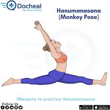 Health Benefits Of Hanumanasana Monkey Pose Monkey Pose Thigh Muscles Back Muscles