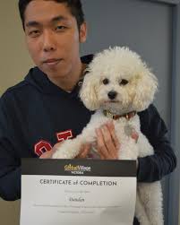 Global Village Victoria(@globalvillagevictoria) • Instagram写真と動画