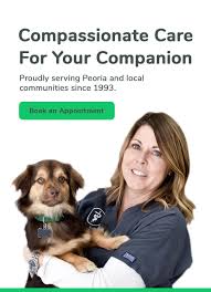 Jun 10, 2021 · companion animal clinic is located in fairfax station, va. Peoria Illinois Veterinarians Big Hollow Companion Animal Hospital