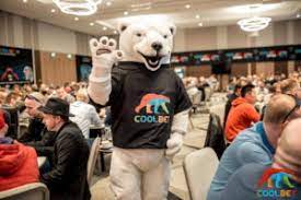 Coolbet's proprietary platform was uniquely. Coolbet Partners With The Festival The Festival