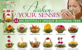 We did not find results for: Teabloom Naturlich Bluhender Tee 12 Einzigartige Sorten Bluhender Teekugeln Von Hand Gebundener Gruner Tee Essbare Bluten 12er Pack Geschenkdose 36 Aufgusse Ergibt 250 Tassen Amazon De Lebensmittel Getranke