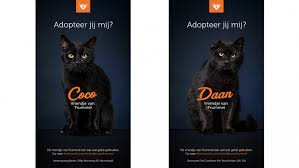 During his studies at the film academy in holland, bart started working as a video assistant to thed lenssen. 3 Gouden Loeki S Op Rij Frummel Bracht Meer Dan Geluk