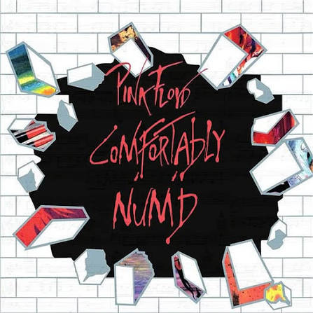 Comfortably Numb" is the single by PINK FLOYD. It was released on June 23,  1980