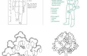 Soal psikotes baum test adalah tes kepribadian atau lebih dikenal dengan tree test yaitu tes menggambar pohon yang berkambium. Mengapa Psikotes Menggambar Pohon Explore Tumblr Posts And Blogs Tumgir