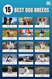 Image result for Recreation Pets Dogs Names