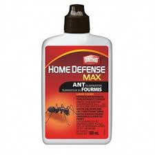 Pin On Home Pest Control