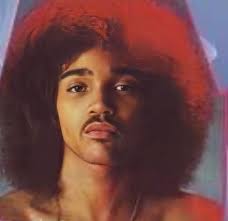 Someone yesterday said Wayne Cheeseman was the one with the profile with he  & his wife Are you sure. Never saw him with his hair combed. Is that a new  image for