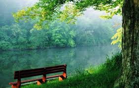 Check spelling or type a new query. Latest Nature Wallpapers Free Download Group 82