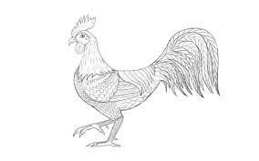 Here presented 52+ rooster drawing easy images for free to download, print or share. Drawwiki Page 3 Of 4 Learn How To Draw