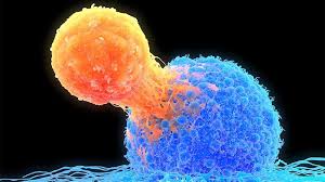 Emotional, intuitive, and practically psychic; Cancer Immunotherapy May Also Treat Certain Autoimmune Diseases