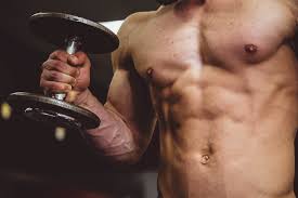 :        ? | MUSCLE.UA