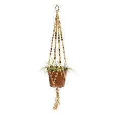 Per te che sei un pittore oramai riconosciuto oppure per te che sei alle prime. Ironia Cazzo Salute Mentale Piante Pendenti Da Giardino Amazon Agingtheafricanlion Org