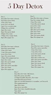 5 Day Juice Cleanse Recap Detox Meal Plan Healthy Detox Cleanse Healthy Detox