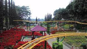 Bahkan, melihat pemandangan yang indah dapat menghilangkan stres seseorang. Pemandangan Alam Yang Terhampar Di Area Objek Wisata Taman Rekreasi Selacta Sangat Asri Picture Of Selecta Recreational Park Batu Tripadvisor