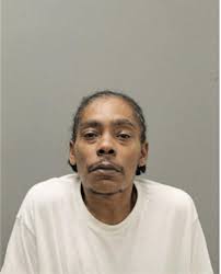 ᐅ Illinois Criminal Records 2009-2025