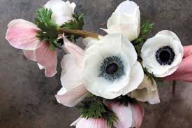Check spelling or type a new query. The Floral Reserve And The Business Of Blooms Edible Rhody