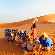 | prepare for your senses to be slapped. Morocco Happiness Tours Desert Tours From Marrakech Fez Casablanca Tangier Trips From Marrakech In Morocco
