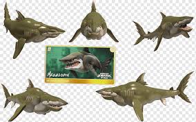 Draw another line from the fin, this time a straight line. Hungry Shark World Hungry Shark Evolution Megalodon Great White Shark Shark Animals Video Game Fauna Png Pngwing