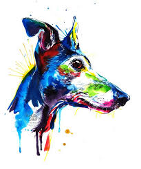 Colorful Greyhound Art Print Print Of My Original Watercolor Painting Italian Greyhound Art Greyhound Art Greyhound Tattoo
