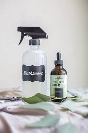 Homemade Bathroom Cleaner Root Revel