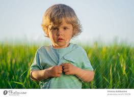 green wheat field. Lovely toddler child ...