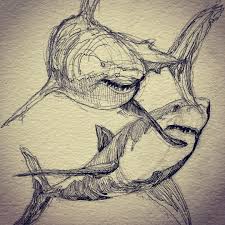 Dan Cvammen On Instagram Im A Shaaaaaarrrk Shark Sharkmeme Sharkdrawing Sketch Seasketch Oceansketch Draw Draw Shark Drawing Animal Drawings Sketches
