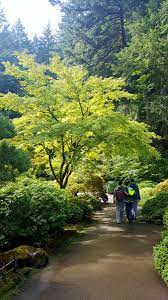Portland Japanese Garden One Of 21 Shots Shared In This Blog Post Portland Japanese Garden Japanese Garden Oregon Travel