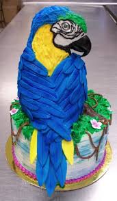Parrot Cake Animal Cakes Fantasy Cake Cake