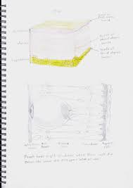 Notebooks For Nature Study Science Bible Poetry Hymn Study Science Notebook Nature Study Science