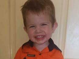 Fundraiser for Dimitie Alexander by Zoe Elmir : Bring Tate Home!!!