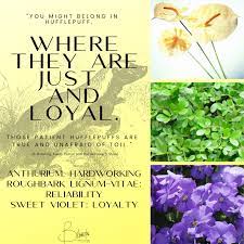 Findinfoonline.com has been visited by 100k+ users in the past month Hogwarts House Flowers Blomstraflorals Com Click Here To Read More