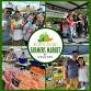 North Bend Farmers Market and Summer Concert Series