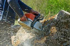 Experience authentic christian community at twin falls church of the nazarene. Certified Arborist In The Vienna Va Area