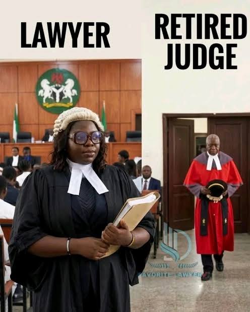 Retired Judges Can't Practice Law in Nigerian Courts | Love Ogbonna posted on the topic | LinkedIn