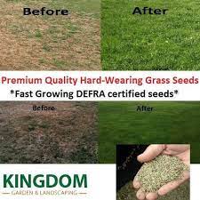 Planting grass seeds on flat ground is one thing, but doing so on hills and slopes takes the challenge to a new level. Garden Patio 10 Kg All Purpose Lawn Grass Seed Premium Shaded Hard Wearing Pristine Lazy Lawn Plants Seedlings