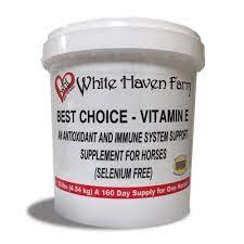 This has no other vitamins or minerals in it. Whf Best Choice Vitamin E